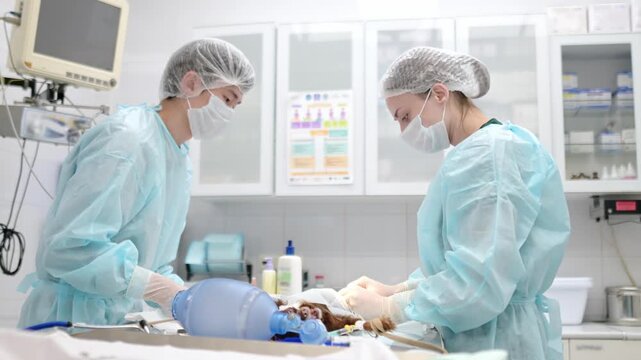 Veterinarians operating on a small dog in an operating room at a veterinary clinic. Veterinarians during treatment for an injury or surgery. Anesthesia and pain relief for animals