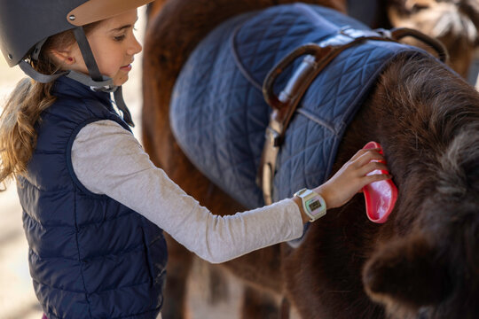 A young girl wearing a helmet and vest is grooming a brown horse