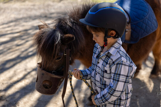 A young boy holding the reins of a small brown pony