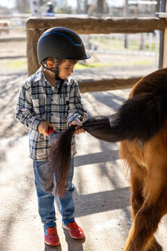 A young child wearing a black helmet brushing the tail of a brown pony