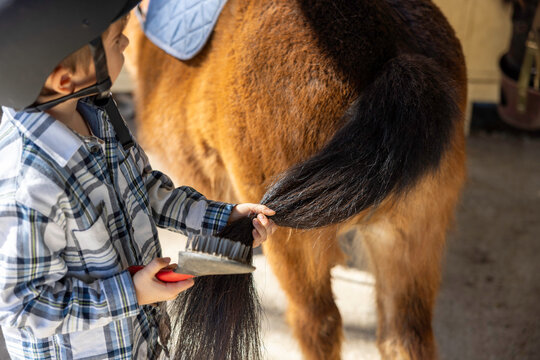 A child wearing a plaid shirt and helmet brushes a brown horse's tail