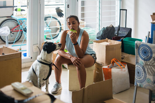 Moving in day pizza break