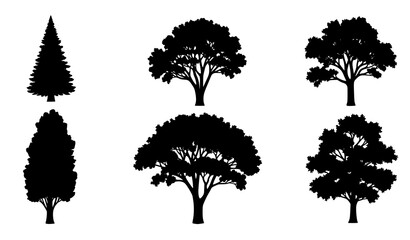 Fototapeta premium Tree Icon Silhouette Collection – Simple Black Vector EPS 10