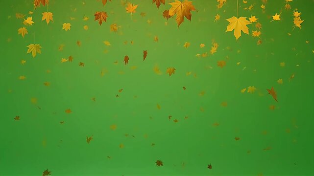 Autumn leaves gently falling on a solid green chroma background. Realistic natural motion with smooth loop animation, ideal for overlays, seasonal transitions, and video effects. No text.