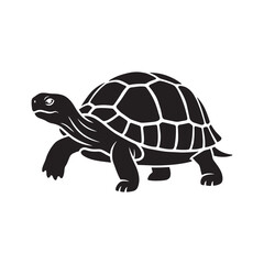 Detailed Black and White Tortoise Illustration Land Turtle Wildlife Design