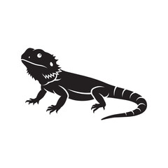 Obraz premium Black and White Iguana Illustration Minimal Reptile Wildlife Design