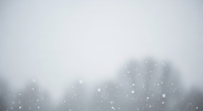 Snowfall in a Foggy Forest Landscape