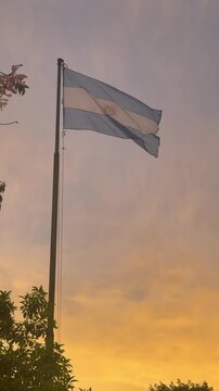 bandera argentina flameando sobre atardecer
