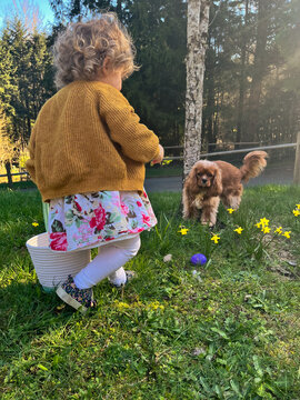 Toddler searches for easter eggs with dog