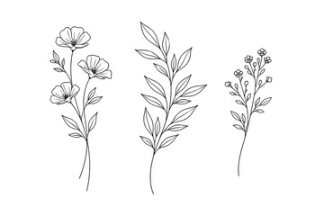 Minimal Botanical Line Art Flower Set