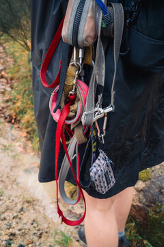 Close-up of person holding multiple dog leashes and carabiners