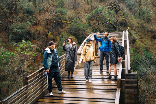 Group standing on a wooden bridge in a forest
