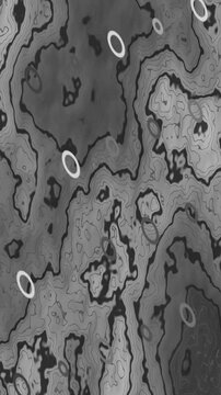 Abstract Topographic Map with Contours and White Ovals.