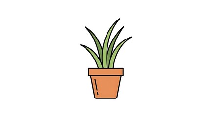 Fototapeta premium Potted Plant with Green Leaves in Terracotta Pot