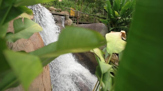 Tropical Waterfall Framed By Banana Leaves, Lush Green Foliage And Cascading Water Over Smooth Rock, Close Foreground Leaves Creating Hidden Oasis Perspective, Vibrant Wet Vegetation And Misty