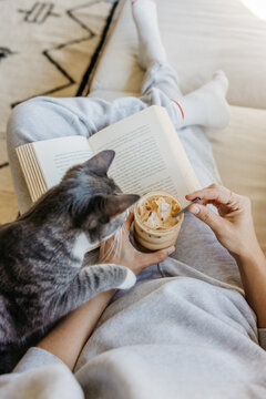At home with Cat