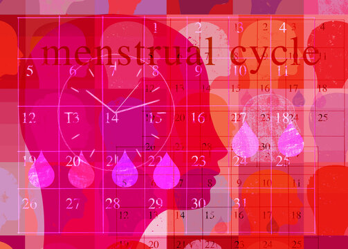 Menstrual cycle concept illustration with text
