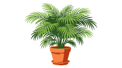 Obraz premium Potted Palm Tree