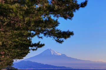 三保の松原からの早朝の富士山