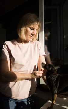 Woman interacting with small dog in a bright room 