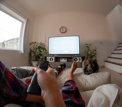 POV Cozy Streaming at home with a cat and anonymous people