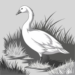 Naklejka premium Elegant White Swan Standing Gracefully in Lush Grass Near Water.