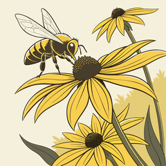 Obraz premium Honey Bee Pollinating Bright Yellow Coneflowers in a Summer Garden.