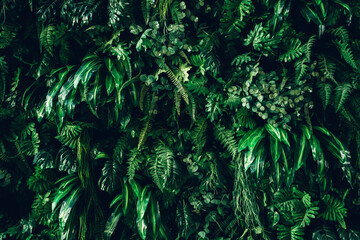 Close up group of background green leaves texture and Abstract Nature Background. Lush Foliage Textures. Exotic Greenery and Botanical Patterns.