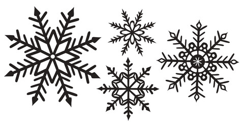 A collection of intricate snowflakes showcasing unique patterns and symmetrical designs.
