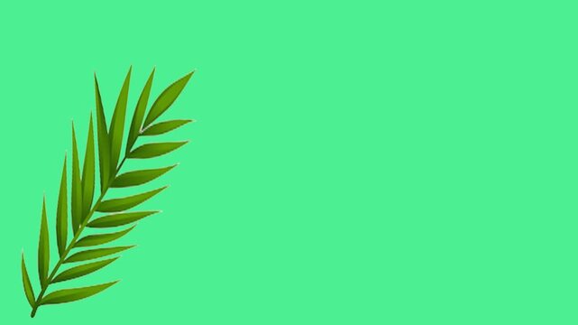 green wheat on white