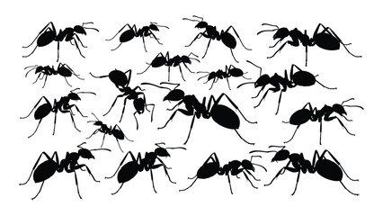 A group of black ants on a white background isolated on white background, Vector