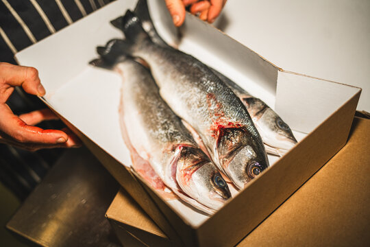  Fresh Sea Bass in Box