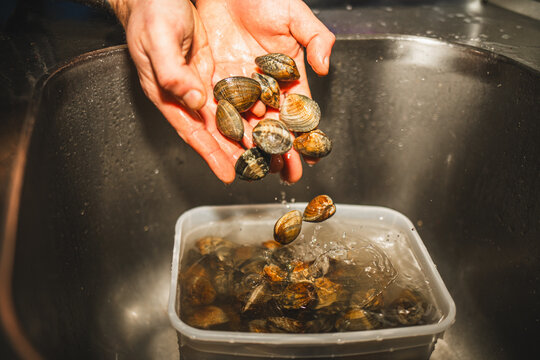 Dropping Clams into Water