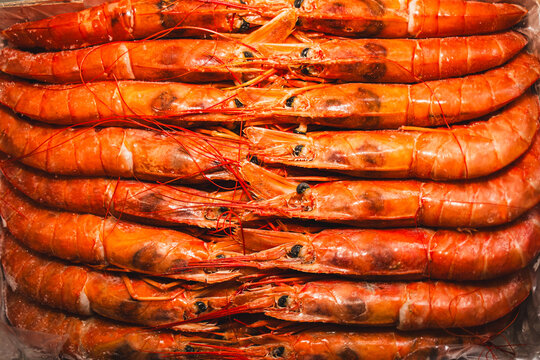 Fresh Orange Prawns Arranged in Rows