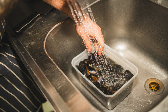  Washing Mussels in Sink