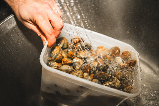 Rinsing Clams in Container