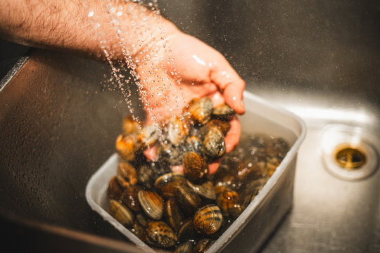 Washing Fresh Clams


