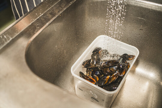 Mussels in Kitchen Sink
