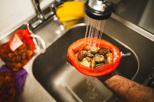Clams being washed in a sink