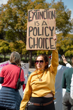 Conservation Protest 