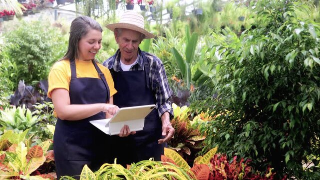 Hispanic multigenerational team using tablet at greenhouse during spring - Latin American woman teaching senior farmer