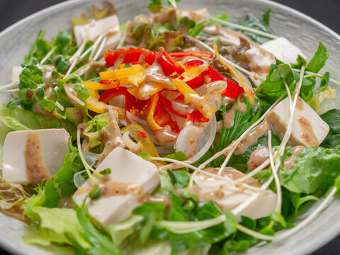 濃厚なごまドレッシングがかかった新鮮な豆腐サラダ。パプリカ、かいわれ大根、レタスを添えたヘルシーな一皿