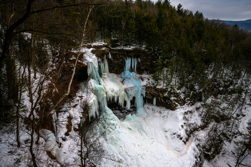 Winter Kaaterskill Forest