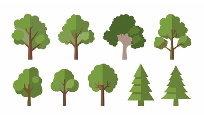Tree vector illustration set with deciduous and coniferous forest plants in green natural design © Rasel