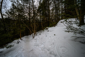 Winter Kaaterskill Forest