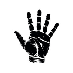 Obraz premium Open human hand shows five fingers in a raised gesture against a white backdrop.