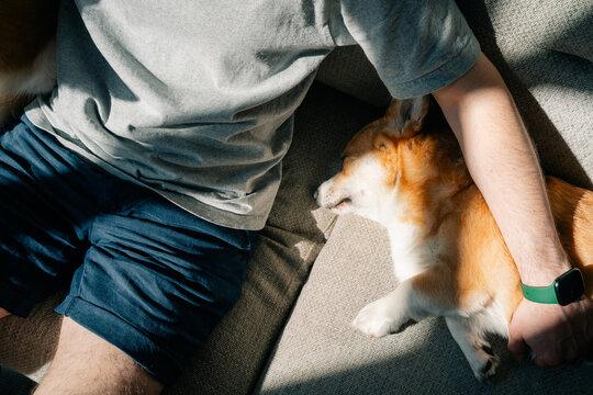 Man relaxing with sleeping corgi on cozy indoor couch
