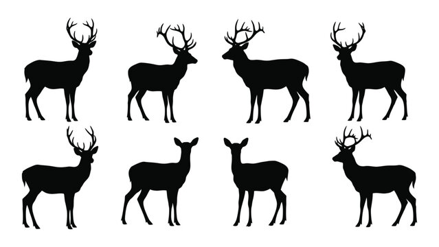 A group of deer silhouettes standing in different poses isolated on white background, Vector