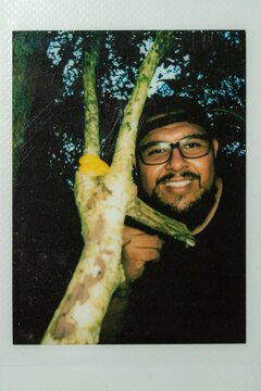 Yellow eyelash viper encounter