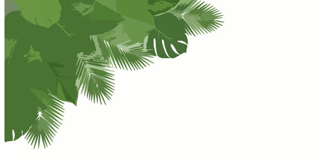 Flat Tropical Plant Leaves Corner Border Minimal Green Foliage Vector Illustration on White Background © Surjo